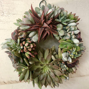 Succulent Wreath Making Workshops Announced