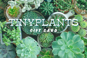 Tinyplants Gift Card
